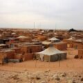 Western Sahara’s Future: Trump, Morocco and Algeria’s Next Move